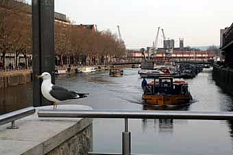 bristol intro 31.jpg